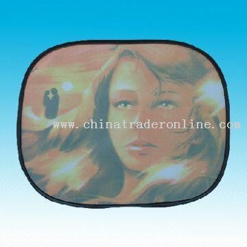 Mesh Car Side Sunshade from China