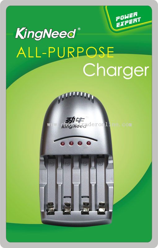 All-purpose charger