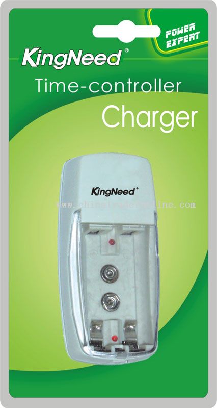 Two independent charging channels Time controller Charger from China