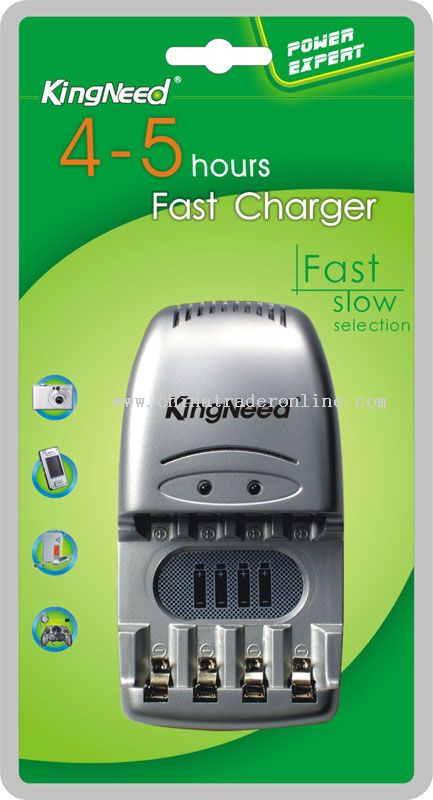 5-6Hours fast smart charger from China