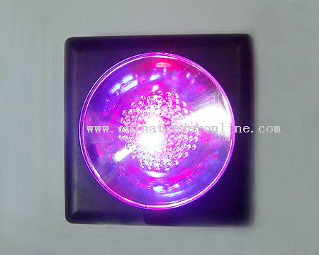 Square-Shaped Flashing Coaster from China