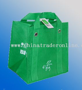 PP Non-woven Green Bag from China