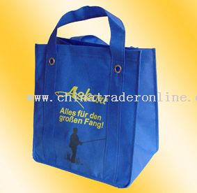 PP Non-woven Green Bag from China