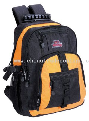 450*450D/PU SPORT BAGS from China