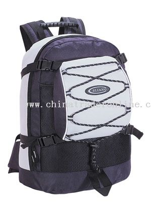 450*450D/PVC SPORT BAGS from China