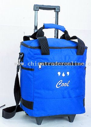 600*600D high density/ulelene COOLER BAGS