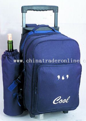 600*600D high density/ulelene COOLER BAGS