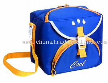 70D foam COOLER BAGS from China