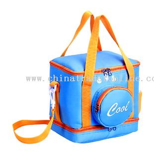 70D foam COOLER BAGS from China