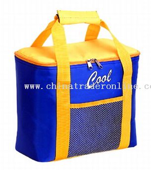 micro fiber COOLER BAGS from China