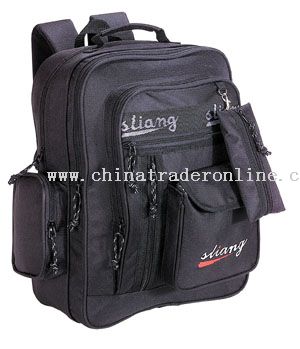 600*300D/PVC School Bag