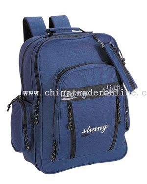 600*300D/PVC School Bag