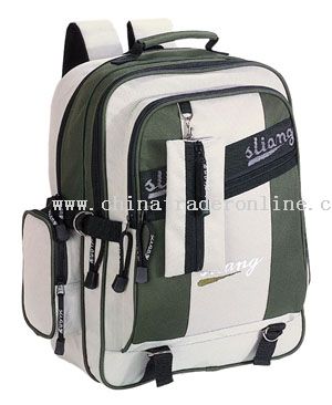 600*300D/PVC School Bag