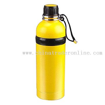 Stainless Steel Sports Bottle