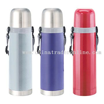 Bullet Shape Vacuum Flasks from China