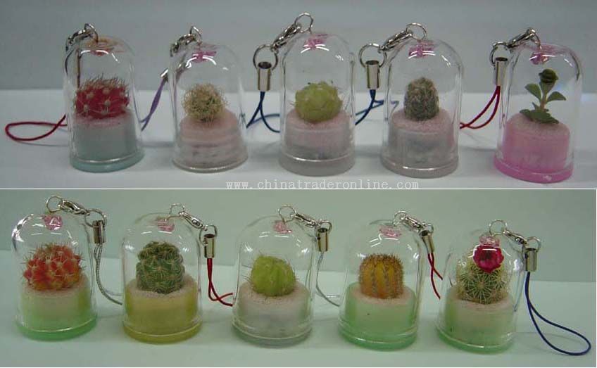 Mini Plant Key Chain from China