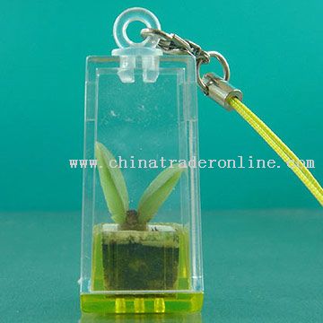 mini plant keychain