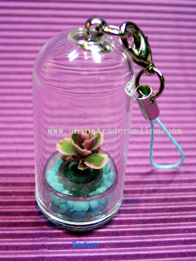 Tiny Plant Gift