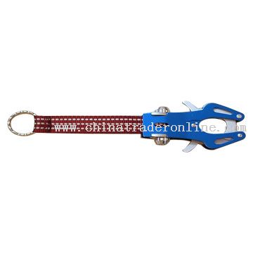 Carabiner Key Chain