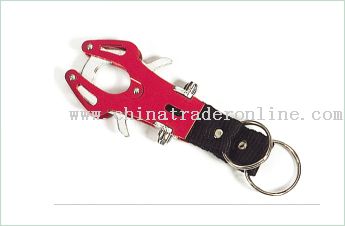 Mini Carabiner Keychain