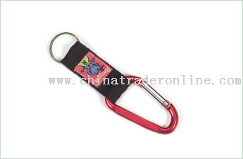 Carabiner Lanyard