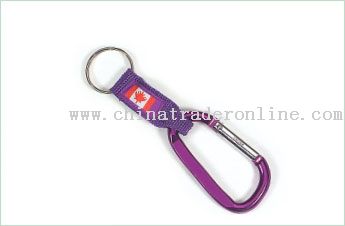 Carabiner Lanyard