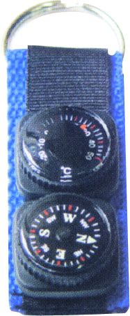 Thermometer Compass Tag from China