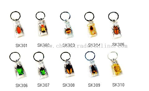 Crystal Keychain from China
