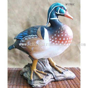 Mallard from China