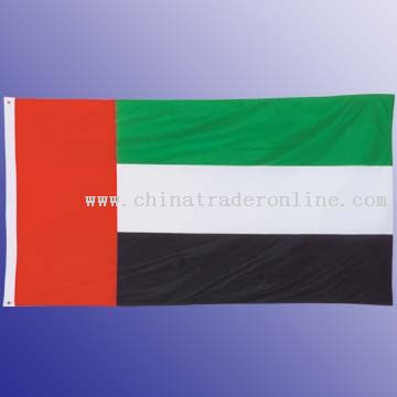 75D polyester flag with white header and 2 brass grommets from China