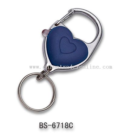 Money Detector Keychain from China