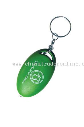 Money Detector Keychain