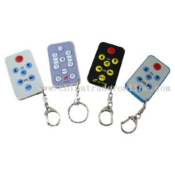 Remote Controls with keychain from China