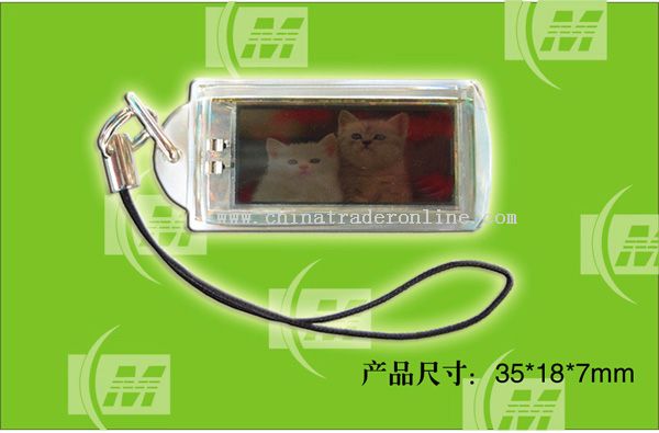 Waterproof Solar Powered Flashing LCD Keychains