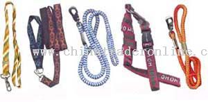 Pet lanyard