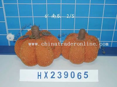 PUMPKIN 2/S from China