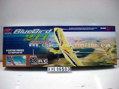 R/C Glider