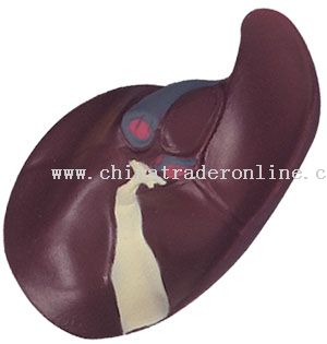 PU Liver