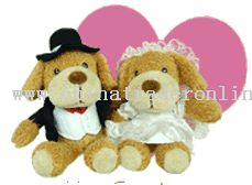 Wedding Couple~Teo & Dora from China