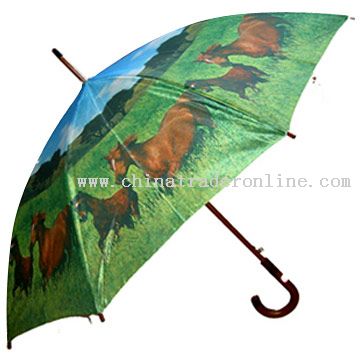 Satin Umbrella from China