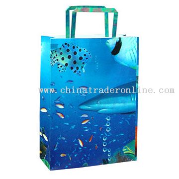 Paper Retail Carrier Bag from China