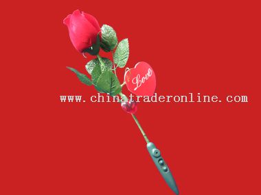 Record Rose from China