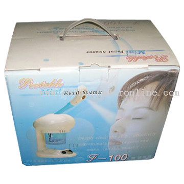 Facial Steamer from China