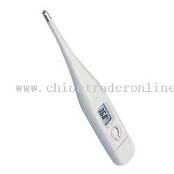 Digital thermometer