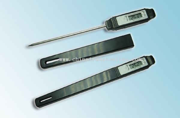 Barbecue Thermometer