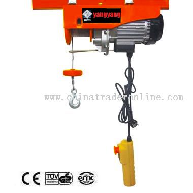 Fast mini Electric Hoist from China