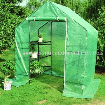 Green House from China