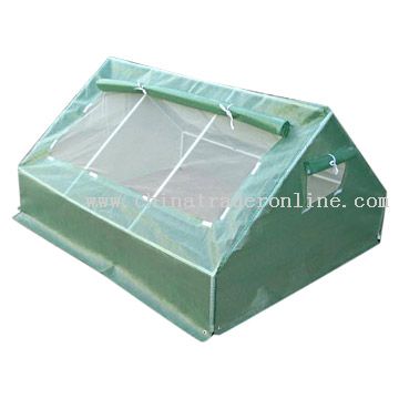 Greenhouse from China