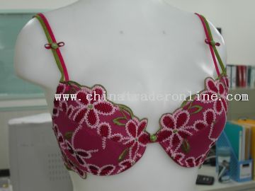 Embroidery Bra from China