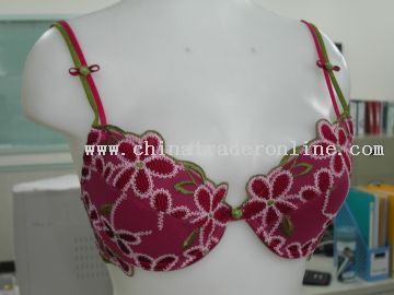 Embroidery Bra